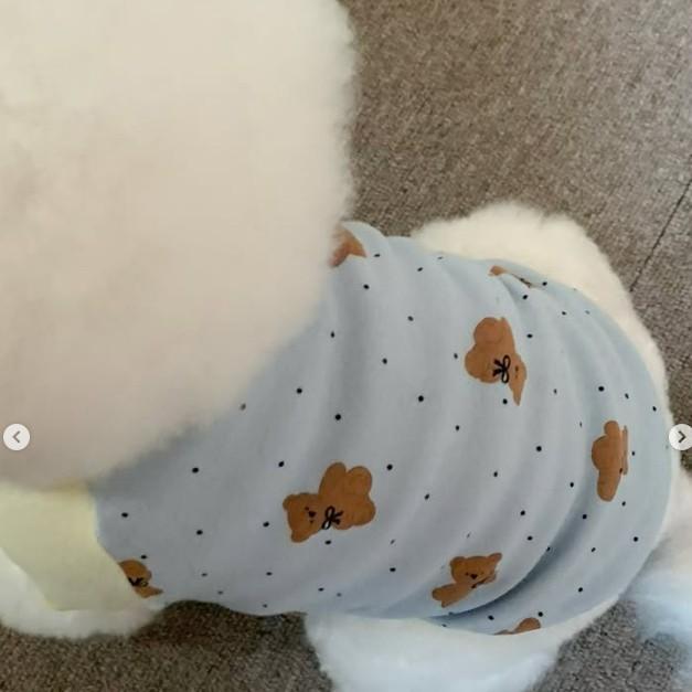 

Cute Bear Print 4-Leg Dog Belly Cover Clothes, Soft Breathable Pet Outfit, 6 Sizes, for Small Dogs Spring & Summer Wear XXL (7.5-10kg)