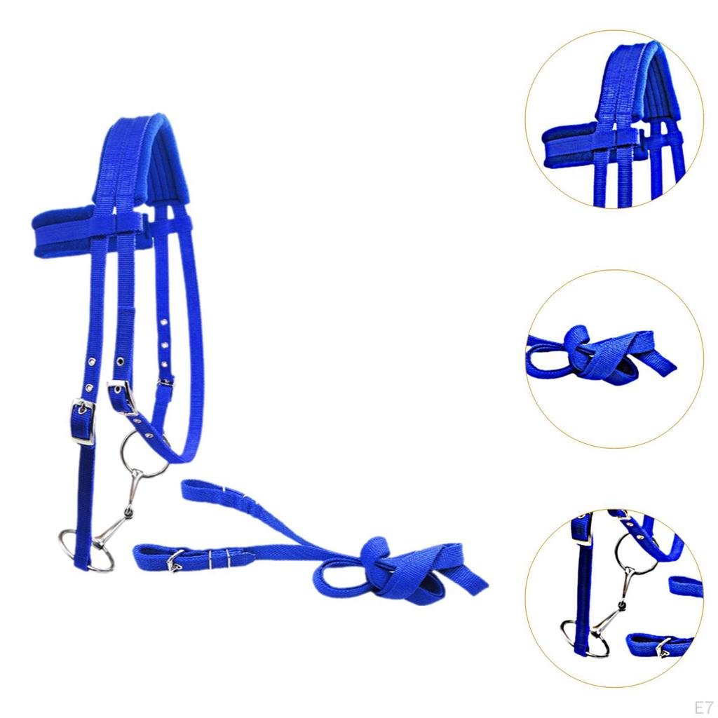 Horse Bridle with Rein And Leading Rope Equestrian Gear for Comfortable Use