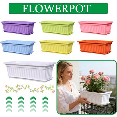 Rectangular Plastic Flower Pot / Vegetable Planter