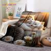 Persian Cat,Cute Calico Cat,Ragdoll Cartoon Soft Flannel Blanket for Beds Bedroom Sofa Picnic,Throw Blanket for Outdoors Leisure