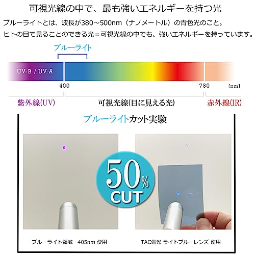 EIGHT TOKYO Polarized Sunglasses for Men and Women, Blue Light Blocking, Made in Japan, Wellington/Boston Style, Lightweight, Light Color, Driving, Bi