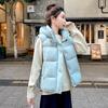 Gilet trapuntato con cappuccio moda europea in cotone piumato da donna autunno inverno moda gilet imbottito largo giacca