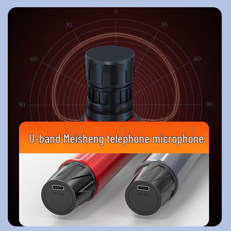 SANSUI Portable Karaoke KTV Speaker System