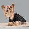 10PC/Lot Fur Collar Dog Leather Jacket Windproof Warm Small Dog Coat Winter Dog Clothes Puppy Clothing