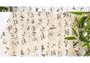 Vintage Calligraphy Gauze Curtain - Ancient Style Chinese Prop for Photography and Decoration