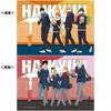 Haikyuu Movie Battle at the Garbage Dump Clear File Set of 2 Theater Limited Official Goods