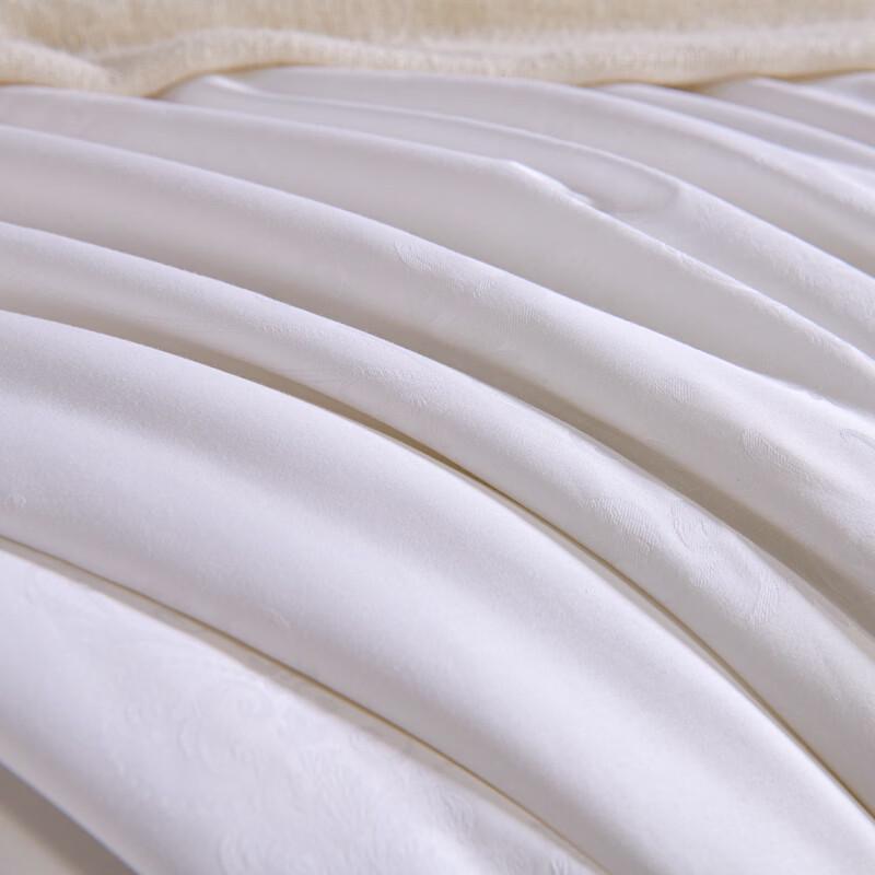 Baiweisi BWS-BZ6368 Tussah Silk Blend Quilt