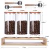 KKC Coffee Bean Storage Airtight Stores Coffee Glass Coffee Measuring Spoon Set of 3 Container, Canister, Coffee, Beans, Nuts, Salt, Shag, Canister,