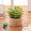 Green Artificial Plants Eucalyptus Grass Woven Small Potted Plants Grass Mound 11cm PE Material Home Decoration