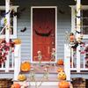 Halloween Full Body Posable Hanging Skeleton Realistic 16/24in Plastic Faux Skeleton Ornament Spooky Indoor Outdoor Party Favors