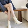 Autumn and winter new pointed head thick heel short heel temperament thin French fashion sexy beauty women's net short boots black