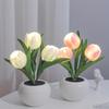 1pc USB Tulip Lamp Lights, LED Simulation Tulip Night Light with Vase, Table Lamp Ornaments for Home Living Room Desktop Decor, Best Mother's Day Gift