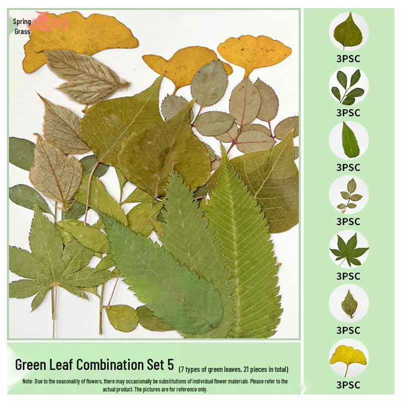 Handmade Pressed Flower Bookmark and Epoxy Sticker Pack with Real Leaf and Plant Specimens for DIY Face Makeup.