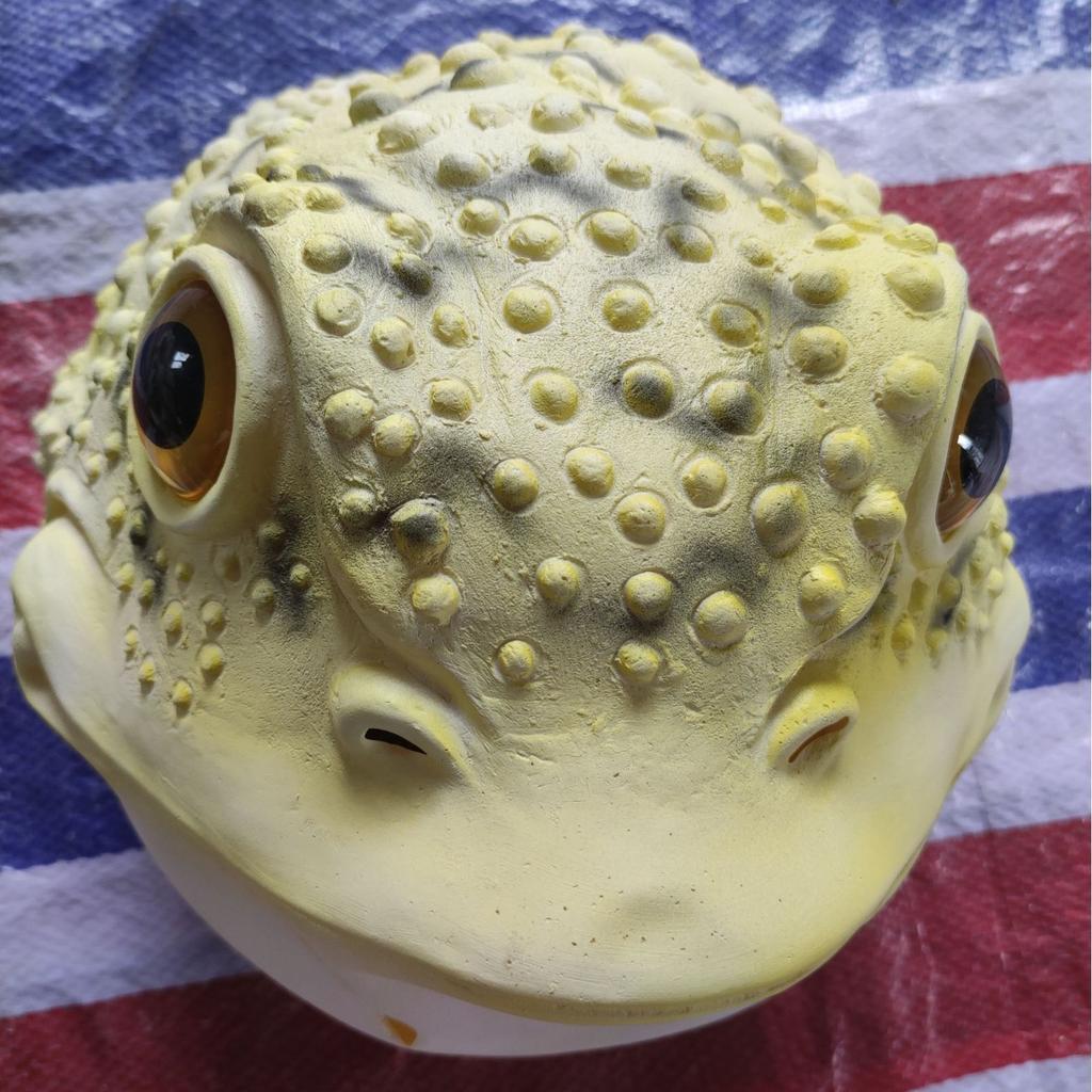 Maschera di rospo dorato di Halloween, costume divertente per feste, accessorio per mascherate, copricapo animale in lattice