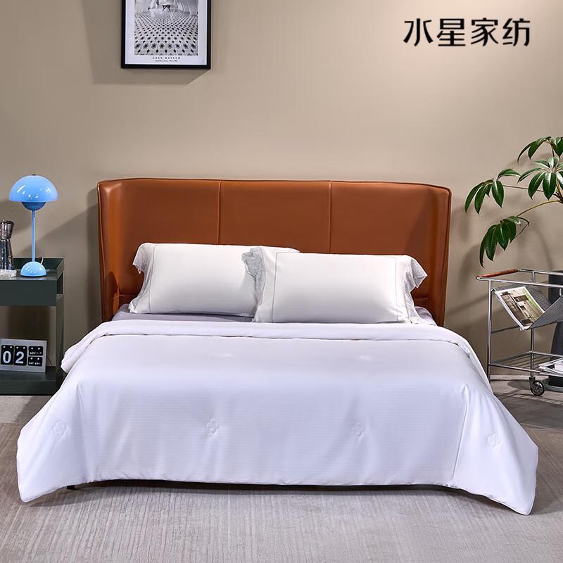 

Mercury Home Textiles All-Season Tussah Silk Quilt