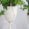 White Hanging Plant Pot Eggshell Shape Planter Self Watering Plant Pot  Indoor Outdoor Ornament