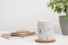 Bichon Frise, Bichon Tenerife, Bichon a poil frise - cup with a dog, cheerful cup for a dog lover, personalized gift from the Art-Dog brand