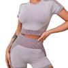 2025 Schnelltrocknendes Nahtloses Yoga- & Lauf-Zweiteiler-Set: High-Waisted Shorts & Kurzarm-Oberteil für Damen