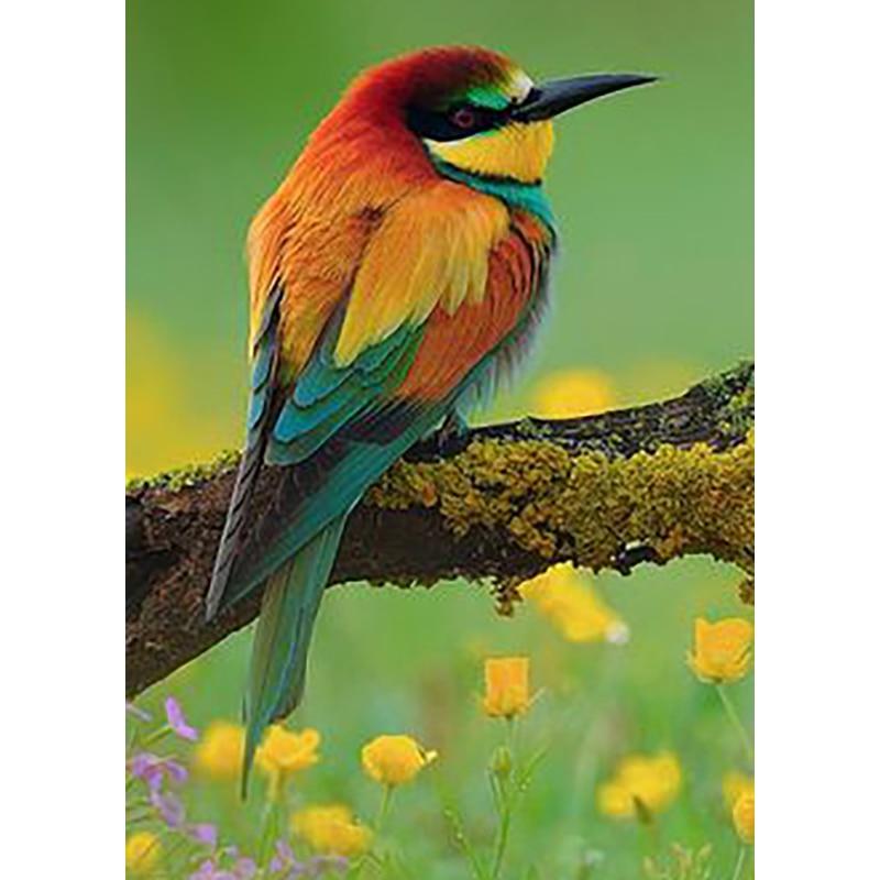 New 5D DIY Diamond Painting Bird Flower Diamond Embroidery Landscape Cross Stitch Full Round Drill Home Decor Manual Gift
