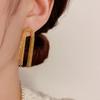 Temperament Metal Long Chain Tassel Earrings Unique Design Fashionable Earrings Light Luxury High-end Earrings