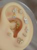 1PC Titanium Stainless Steel Earrings Tiny Butterfly Leaf Flat Rook Lobe Cartilage Snug Helix Couch Tragus Labre Piercing 16G
