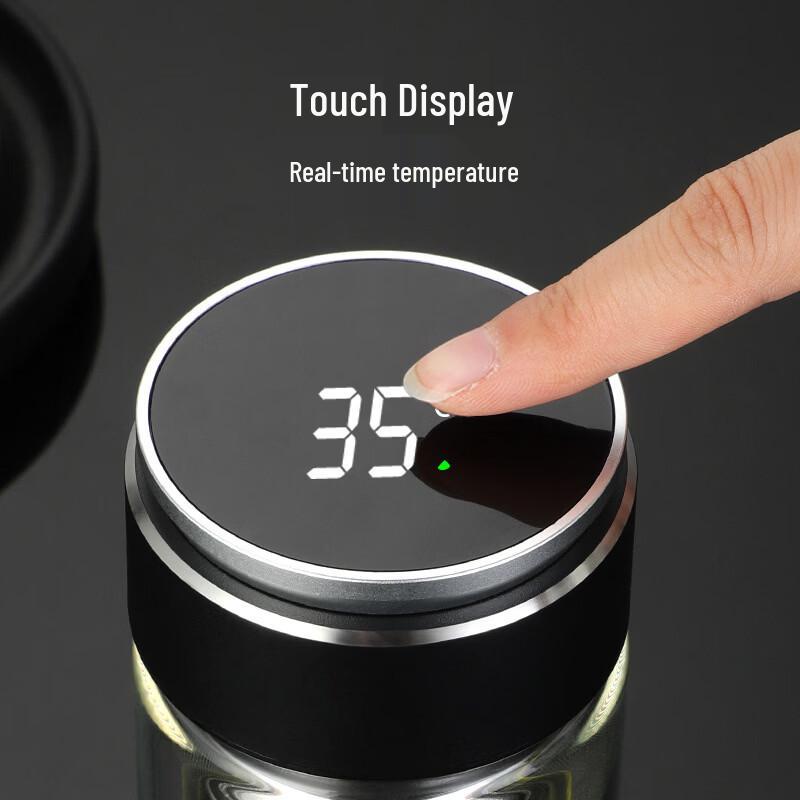 Portable Borosilicate Glass Tea Infuser Bottle