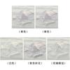 A-class baby cotton women's underwear 10A pure cotton antibacterial crotch breathable and skin friendly girl style triangle pants