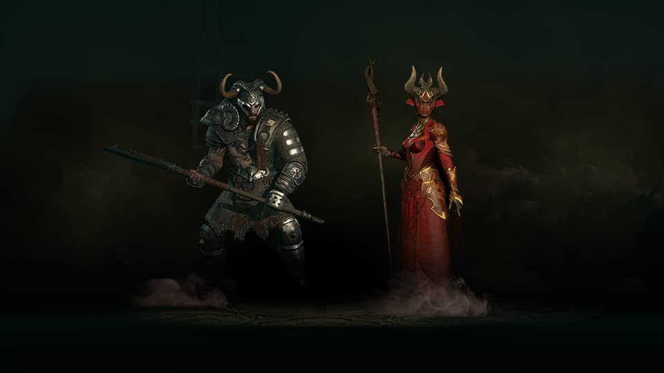 Diablo 4 North PS4 (Imported America) -