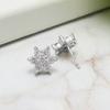 Temperament Versatile Snowflake Earrings High-End Trendy Zircon Star Earrings Women'S Sterling Silver Jewelry