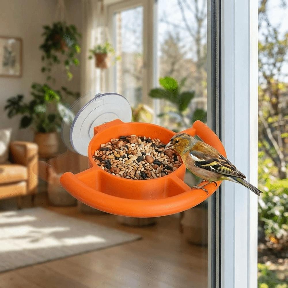 Suction Cup Window Bird Feeder Creative Bird Food Container Bird Feeding Station  Window Mounting