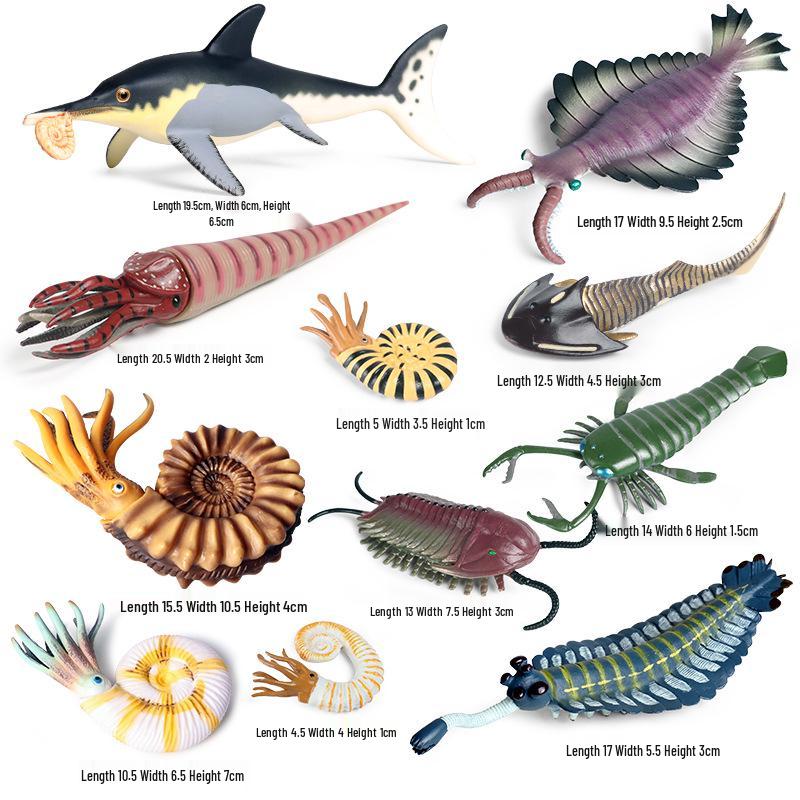 Ancient Marine Life Model: Trilobite, Eurypterid, Pikaia, Sea Scorpion, Nautilus Toy