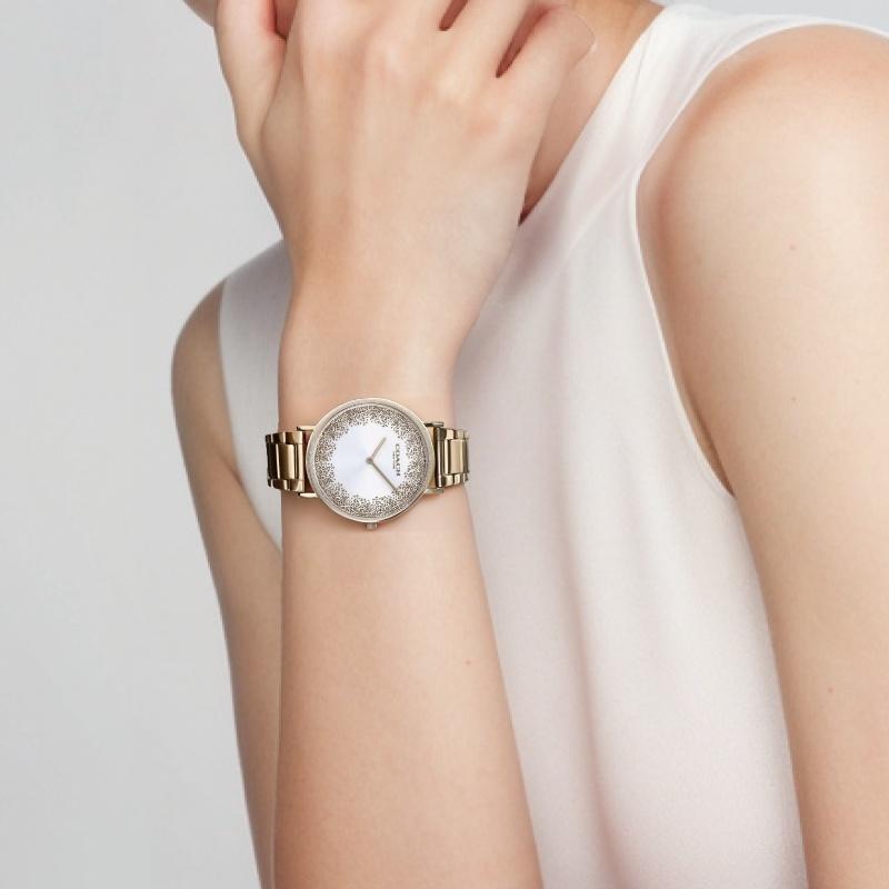 Coach Watch Quartz Movement Stainless Steel Strap 36mm Silver Dial Women's Watch Life Waterproof 14503633