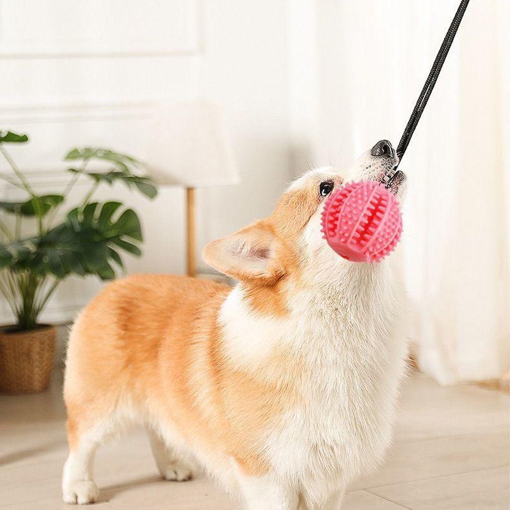 Bite Resistant Suction Cup Dog Toy TPR Dog Tug Toy Dog Leakage Toys  For Dogs Puppy