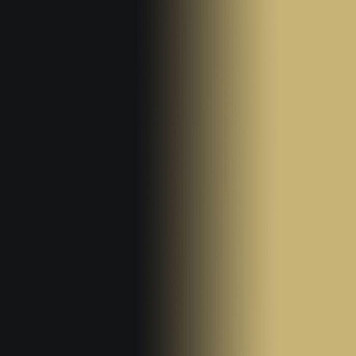 Couleurs à l'huile - Sennelier - Sepia - 40ml - Marron - Avancé