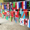 Aerlxemrbrae  14*21cm  String flag  32 countries around the world nations flag small flag   hanging flags