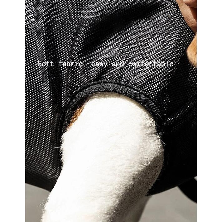 New Dog Backpack for Outdoor Use, Double Shoulder Strap Portable Horizontal Pet Backpack with Auxiliary Straps, Pet Carrier for