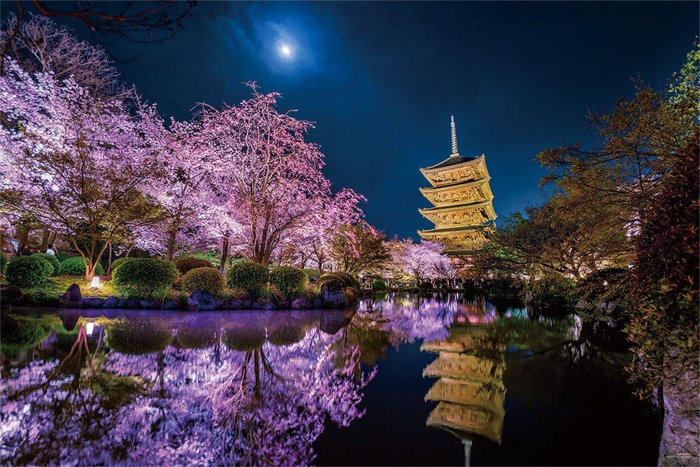 

Yanoman [Made in Japan] 1000-Piece Jigsaw Puzzle KAGAYA Blooming in the Moonlight, Kyoto (50x75cm) 10-1299, Includes a piece request postcard,