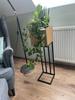 Harmonic Oak loft plant stand 22x22x80 cm