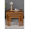 Luna Atlantic 3-piece Luxury Wooden Coffee Table
