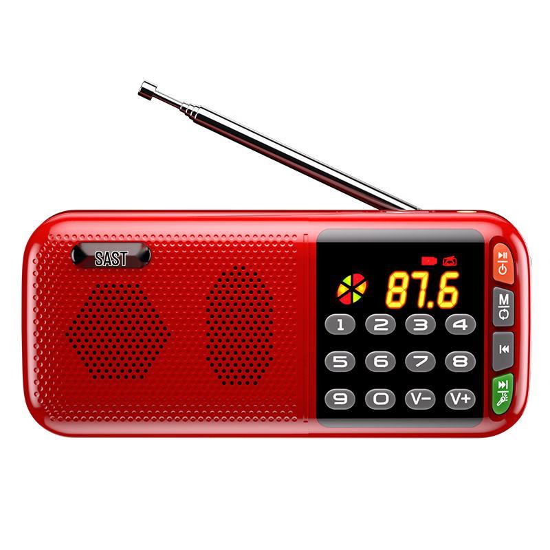 SAST Portable Multi-Function Radio & Media Player