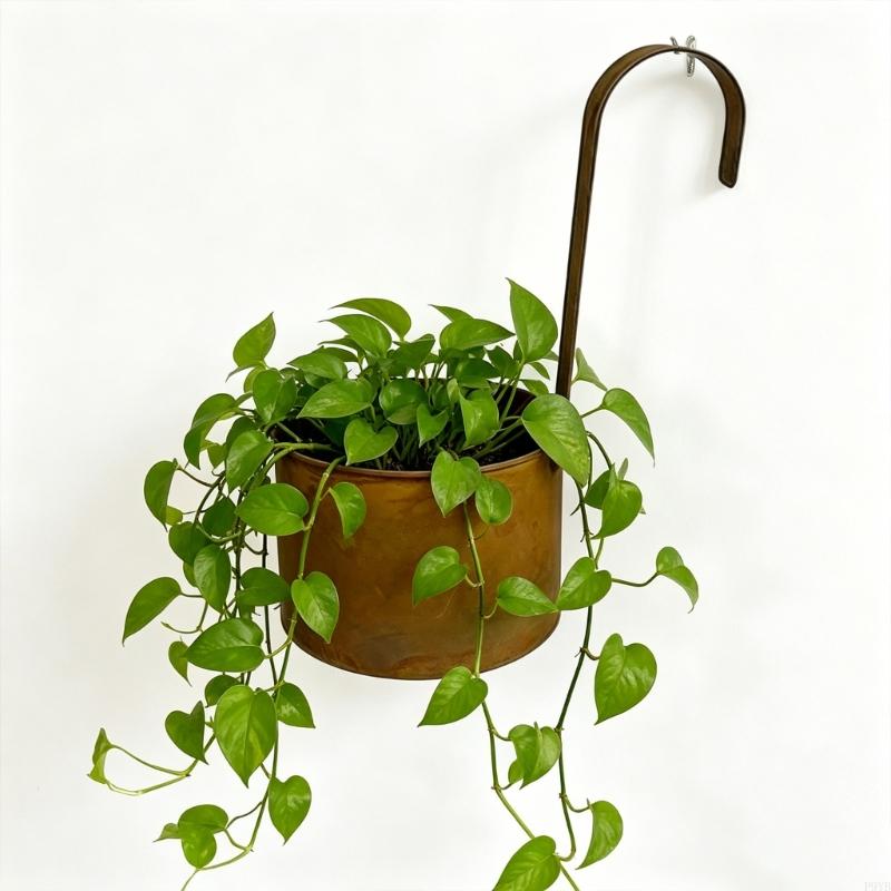 Elegant Distressed Hanging Flower Pot Planter Basket For Any Space Indoor Patios Porch Balcony Window Outdoor Gardening