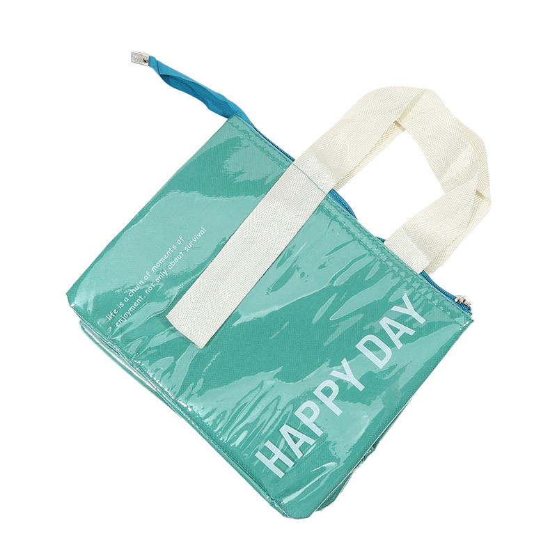 Fashion Travel Picnic Portable Thermal Bento Tote Bag Large Capacity Simple Thickened Waterproof Lunch Organizer Bag