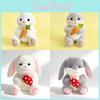 Plush Rabbit Toy With Carrot And Mushroom Design For Children Gift