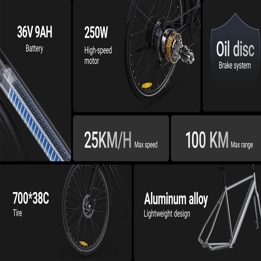 Electric Bike DYU 250W Motor City Ebike 36V 9AH Max Range 100Km Load 120Kg Black Str0ll