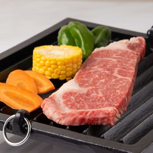Endo Shoji Commercial Square Grill Pan, Large, Cast Iron, AGL06001