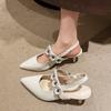 2024 New French Chunky Heel Mary Jane Shoes Spring and Autumn Women  Pointed Small Leather Shoes Silver Single Shoes