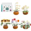 Crochet Flower Set with Step-by-Step Tutorial Instruction Crochet Potted Plant Crochet Knitting Supplies for Beginner