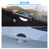 Catland Nissan DAYZ B4 Series Custom Accessories Door Handle Protector
