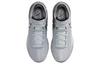 Nike Zoom LeBron Nxxt Gen 'Wolf Grey Metallic Gold' DR8784-004