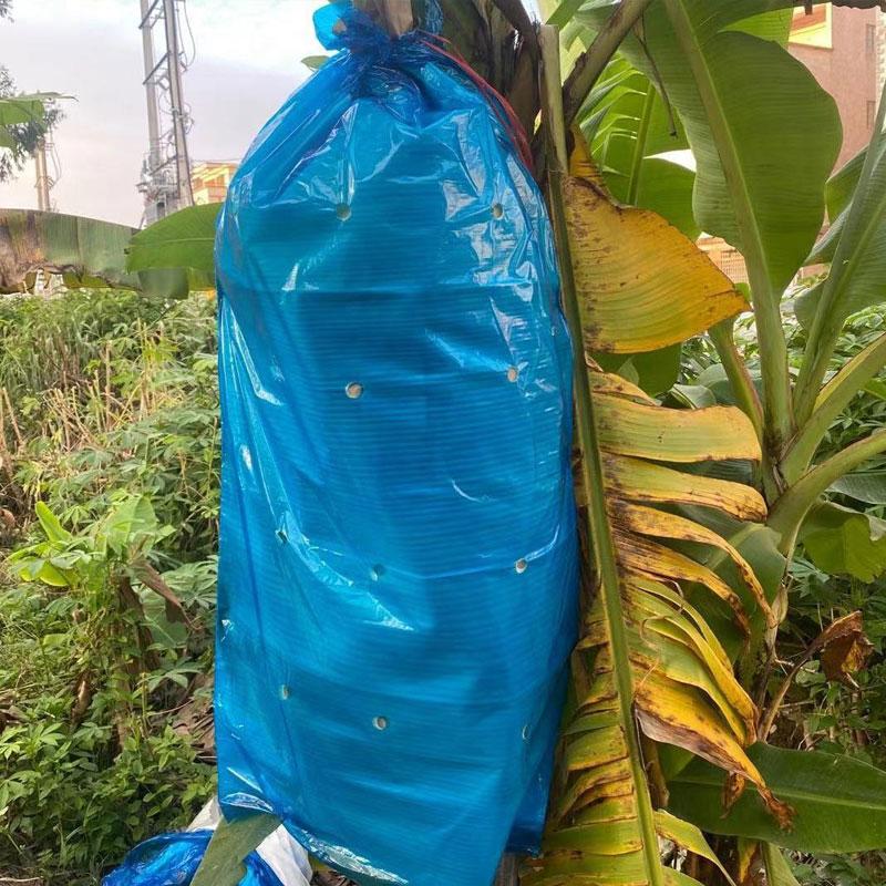 5/10/15 Stück Bananen-Schutzbeutel Frucht-Schutzbeutel Mit Loch Gegen Kälte Frost Insektenbeutel Bananenstauden-Schutzabdeckung